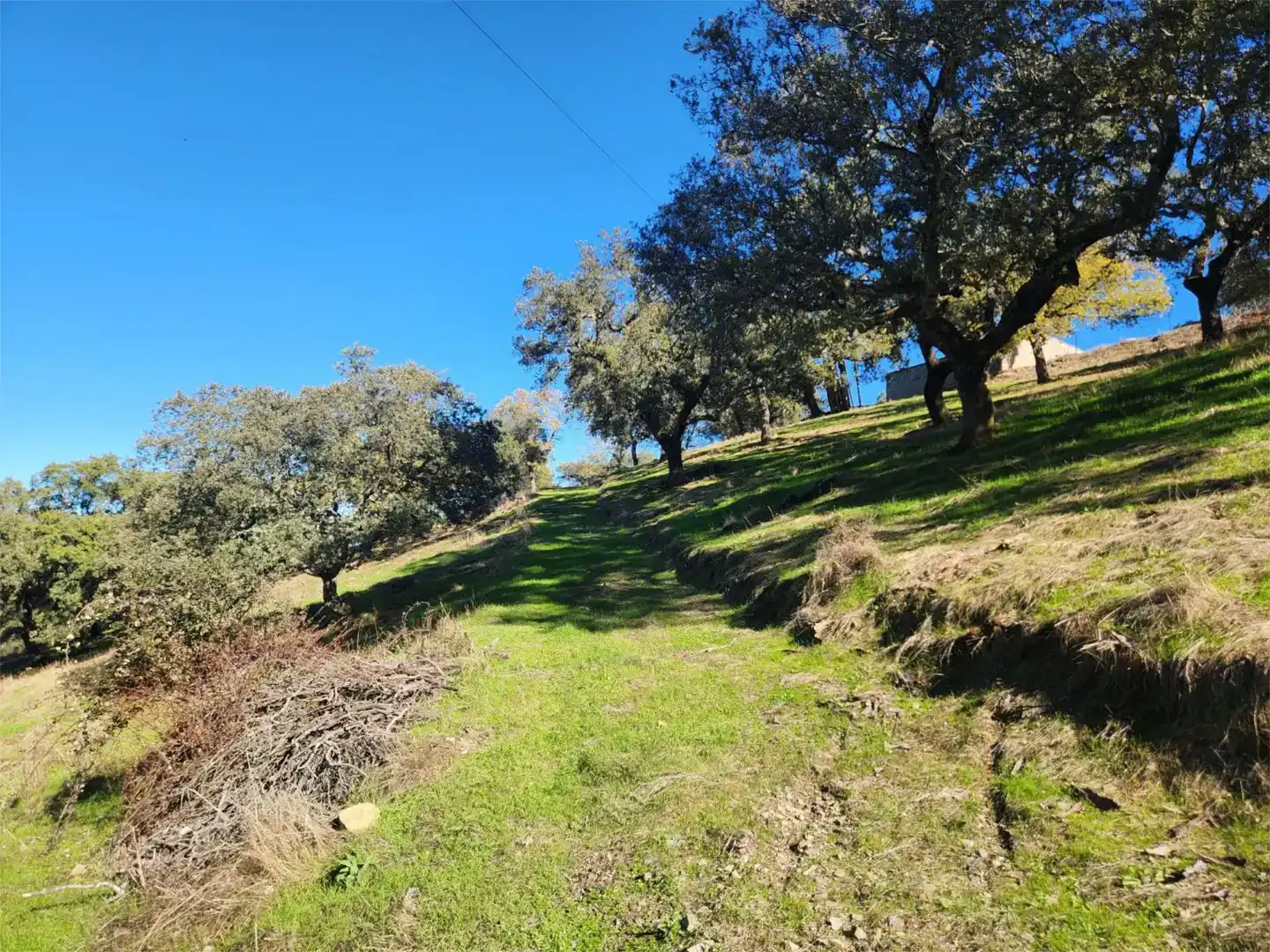 Piso en venta en Calera de León