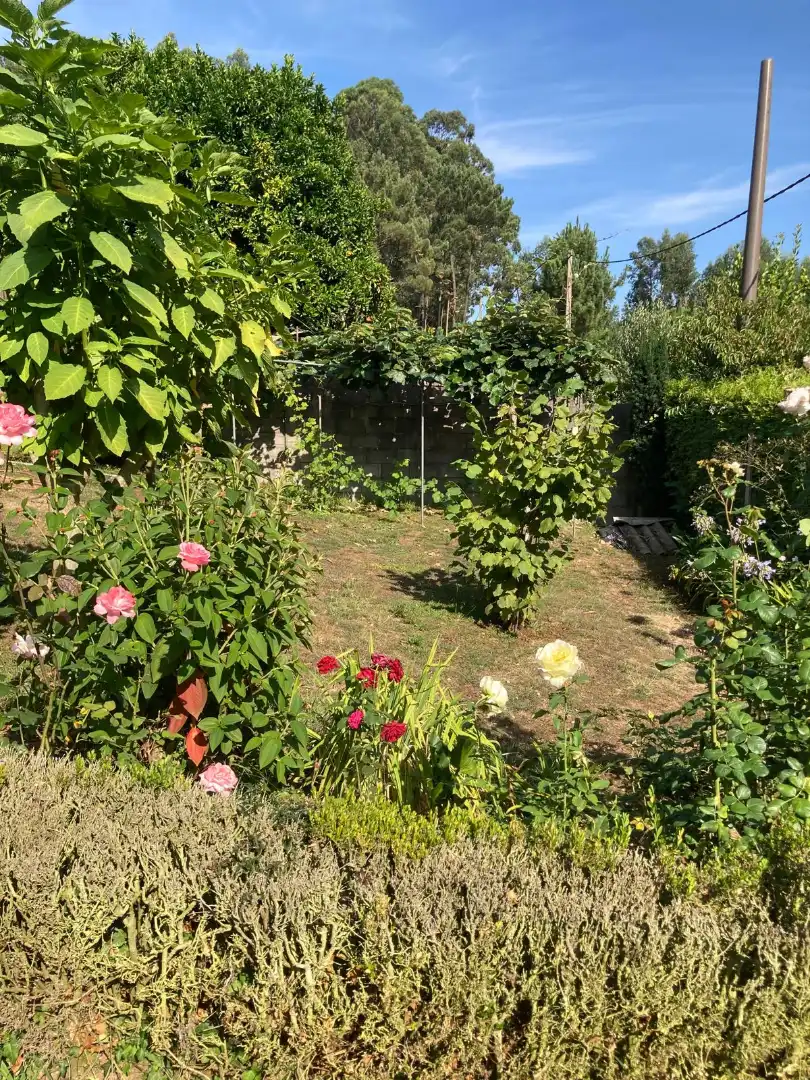 Jardí de Casa o xalet en venda en Dorneda