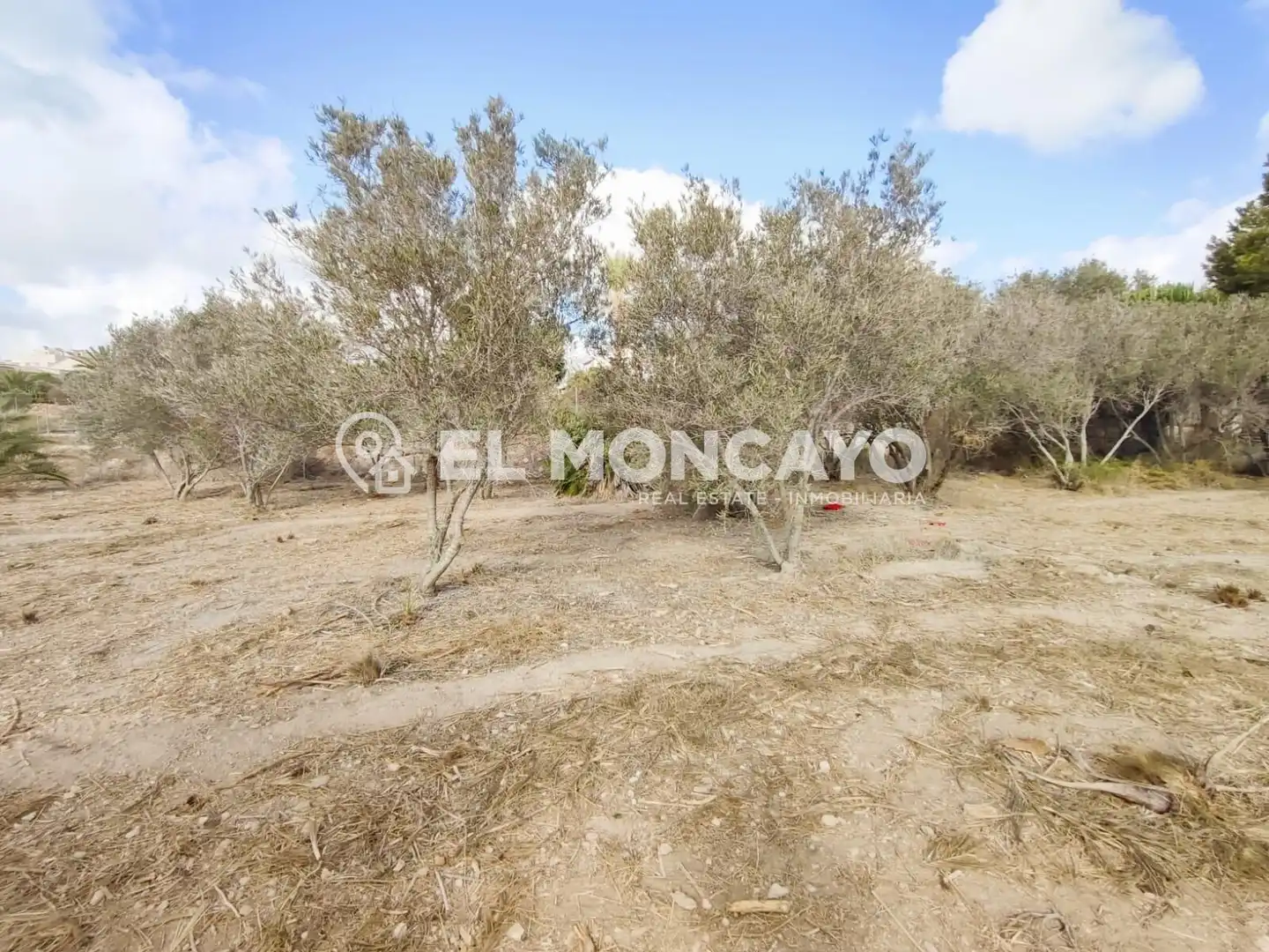 Terreno en venta en Elche / Elx