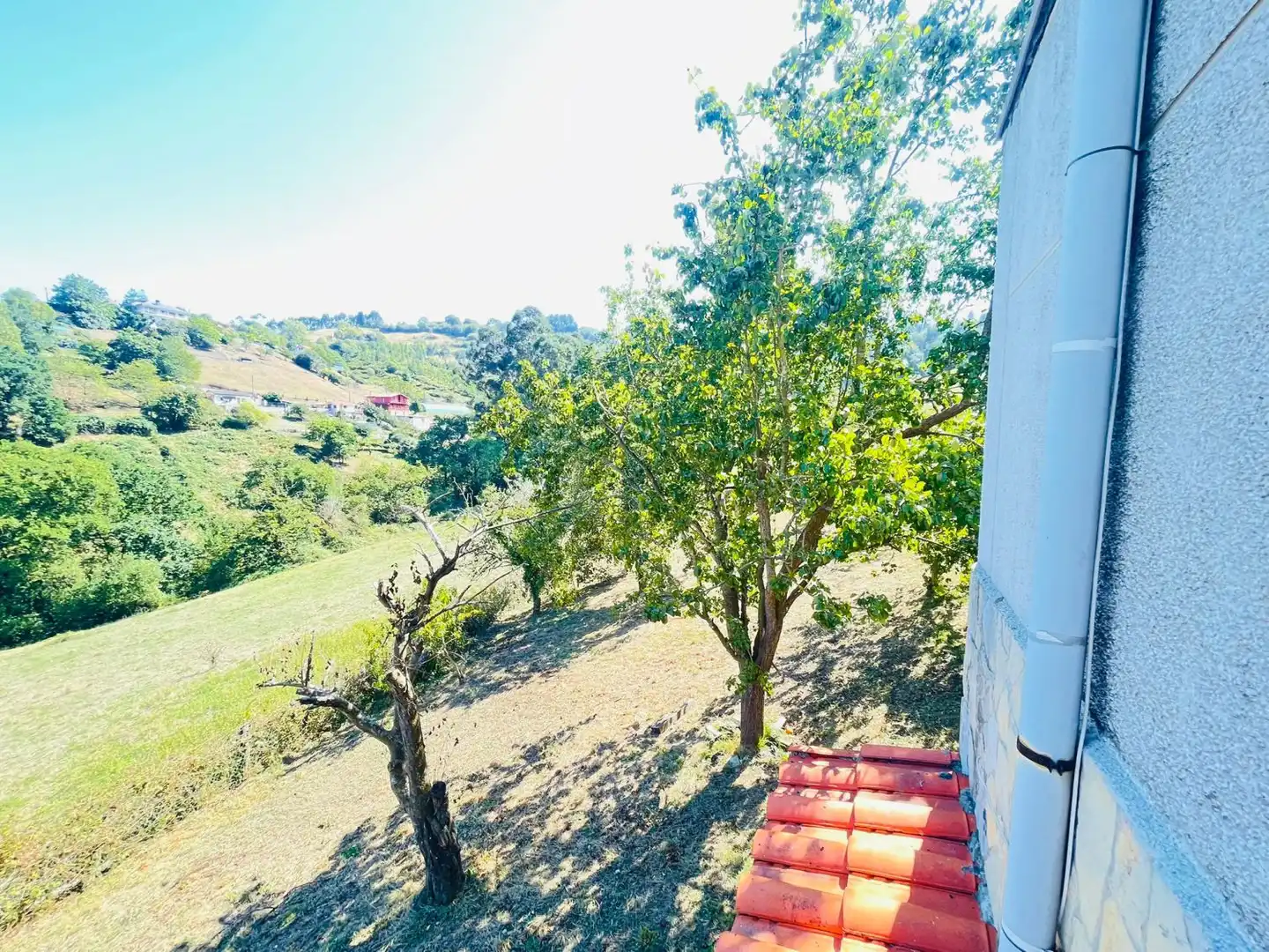 Detached house for sale in Rural, imagen 38
