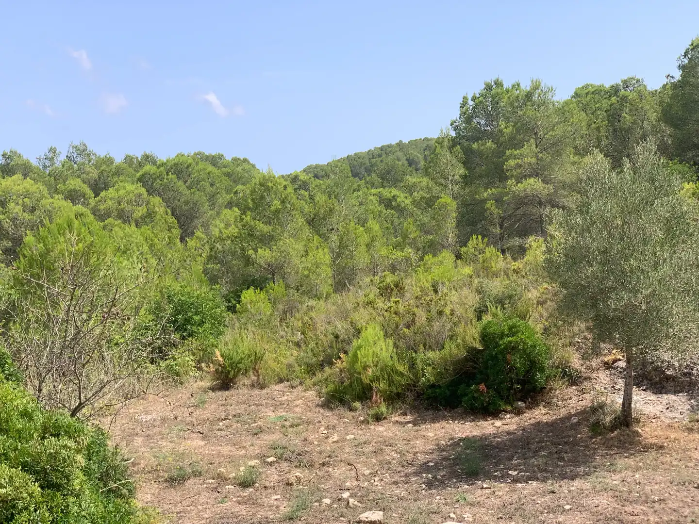 Country homes for sale in Tivissa  with Terrace