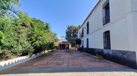 Photo 4 of Houses for sale in Calle Violeta, Campanillas, Málaga Capital