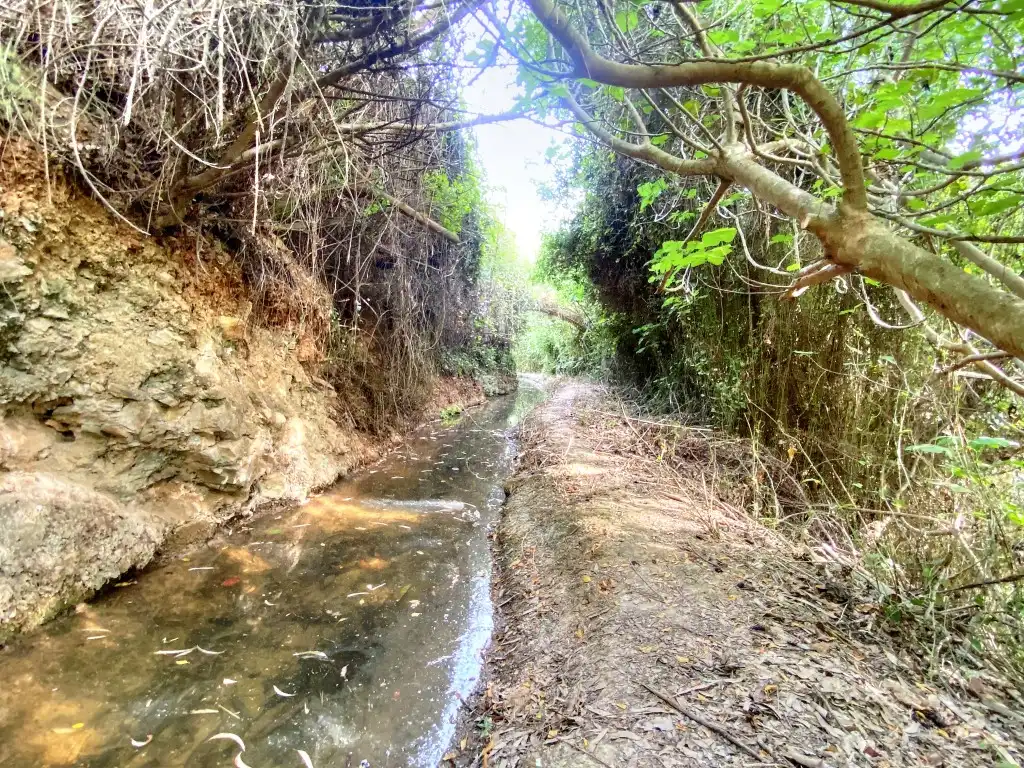Casa rústica en venda a Riogordo, imagen 25