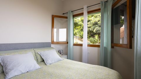 Foto 5 de Finca rústica en venta en La Perdoma - San Antonio - Benijos, La Orotava