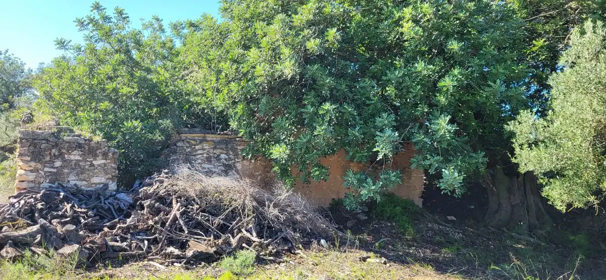 Casa rustica in vendita a N/A, imagen 9