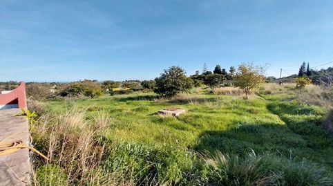 Casa de campo en Estepona, imagen 4