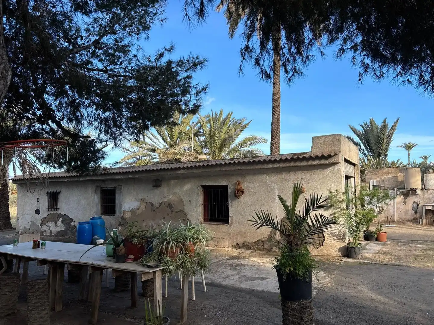 Vista exterior de Finca rústica en venda en Elche / Elx