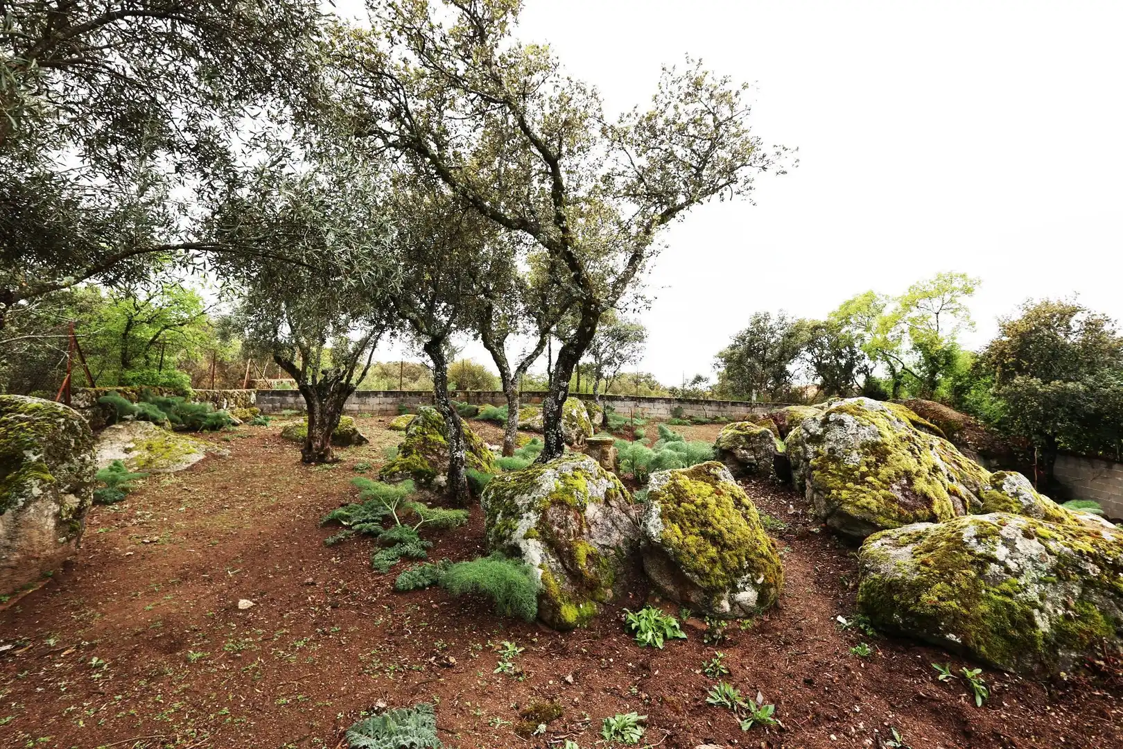 Jardín de Residencial en venta en Colmenarejo