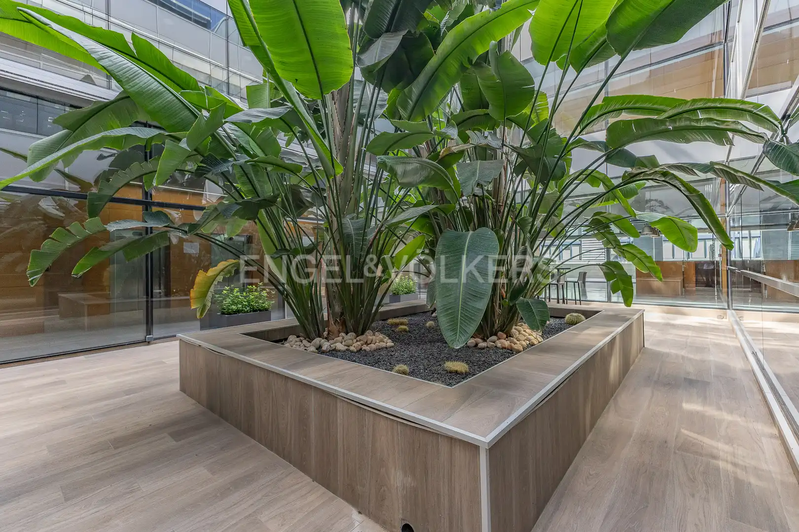 Terraza de Oficina de alquiler en Sant Cugat del Vallès