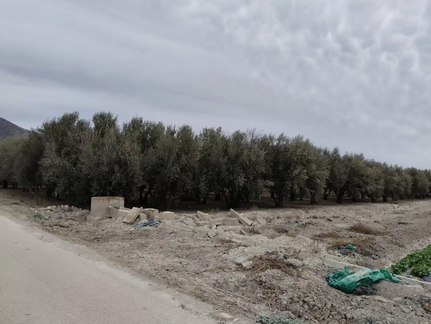 Terreny rústic en venda a Lorca Ciudad, imagen 4