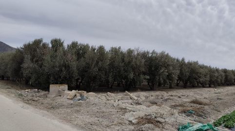 Terreno de Regadío  La Hoya, Lorca, immagine 4