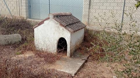 Foto 4 de Finca rústica en venda a Los Franceses – La Vega, Cádiz