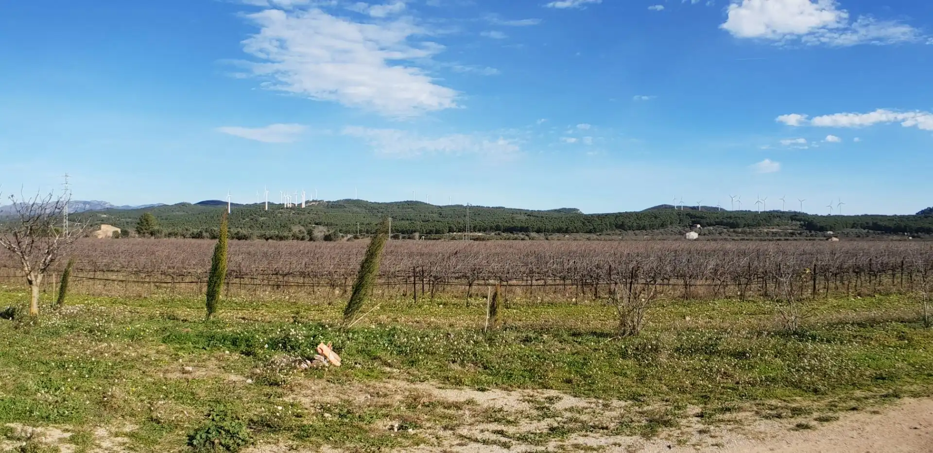 Finca rústica en venta en El Perelló con Jardín privado, Terraza y Trastero