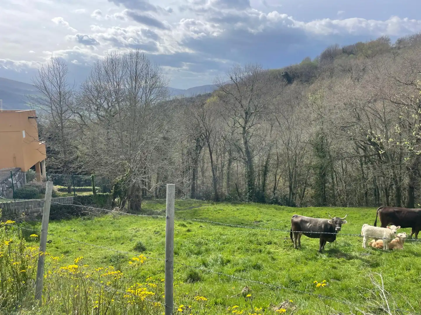 Terreni e lotti in vendita a Corvera de Toranzo, imagen 3