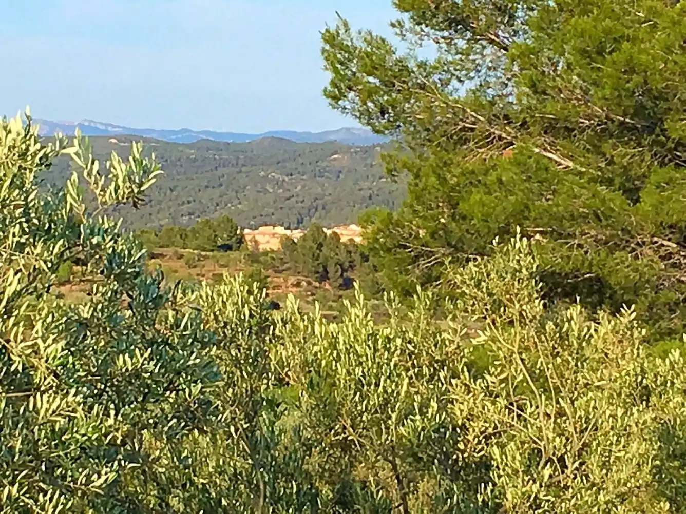 Maison rustique à vendre à El Pinell de Brai, imagen 5