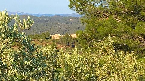 Foto 5 de Finca rústica en venda a El Pinell de Brai, Tarragona