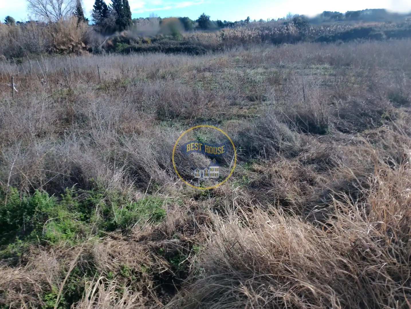 Terrain rustique à vendre à El Pilar, imagen 4