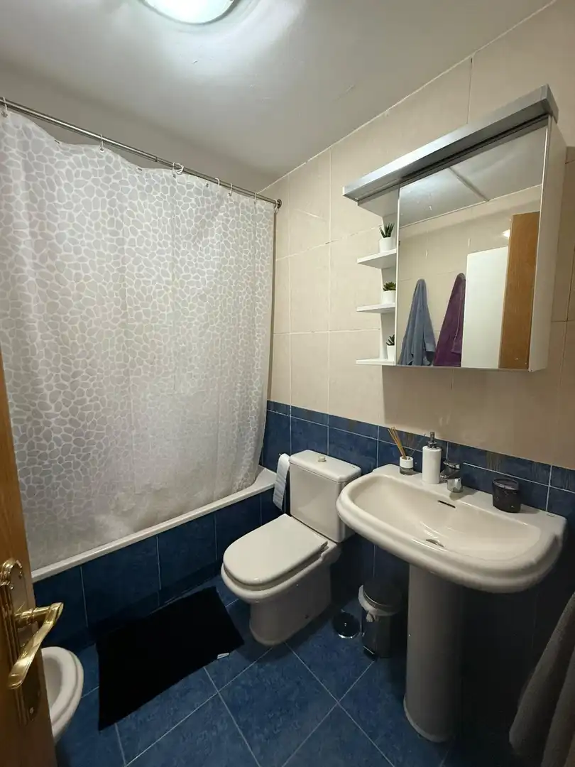 Baño de Apartamento en venta en Villanueva de la Cañada