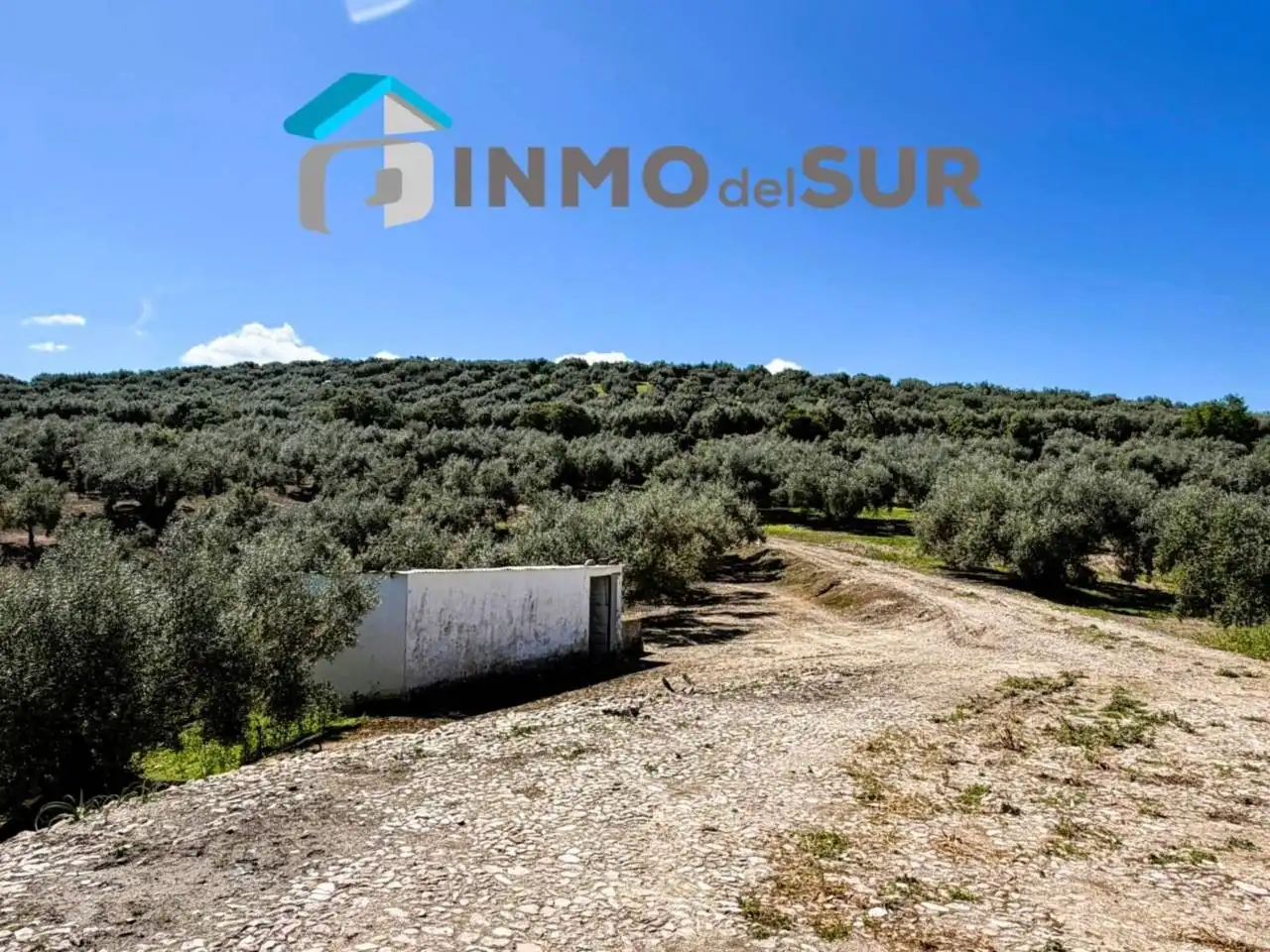 Terreno rustico in vendita a Carretera Lucena-Doña Mencía