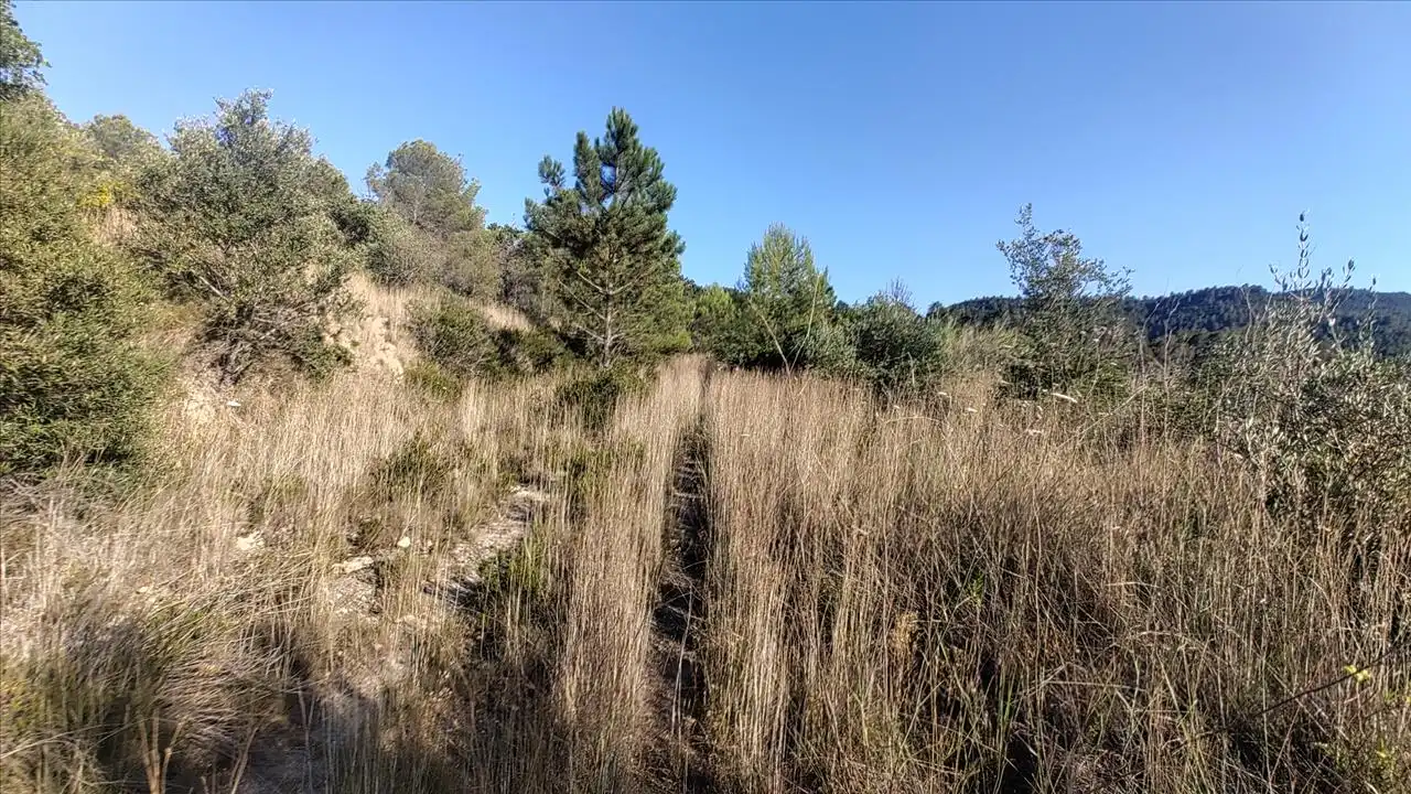 Residential for sale in Quatretonda