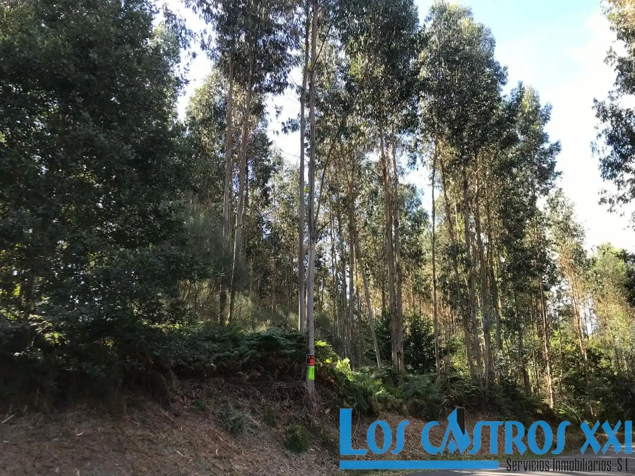 Residential for sale in Maside