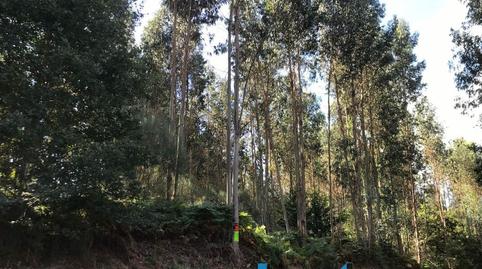 Foto 5 de Residencial en venta en Al Casona-amarante, Maside, Ourense