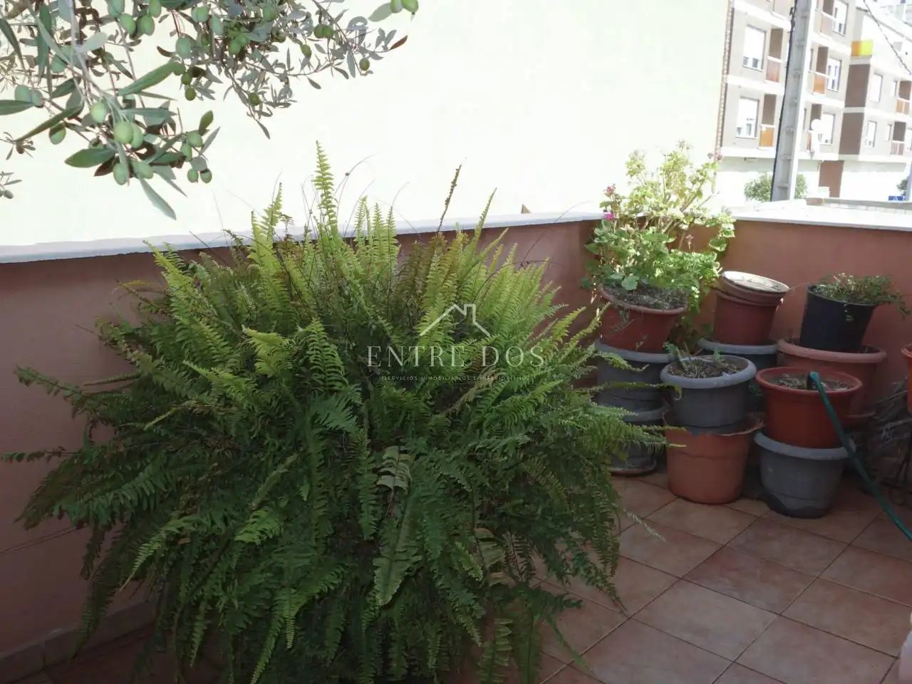 Maison mitoyenne à vendre à Calle San Jaime, imagen 50