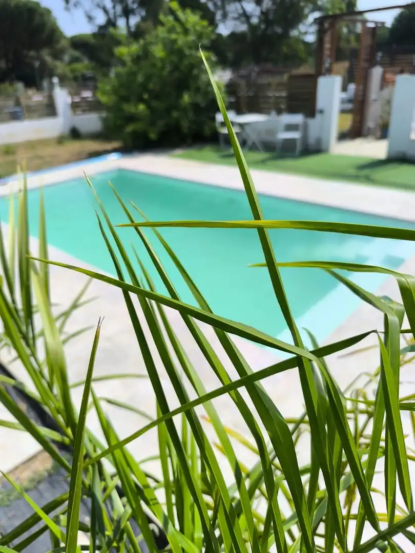 Piscina de Finca rústica en venda en Puerto Real amb Jardí privat i Piscina