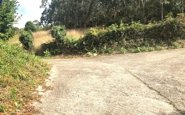 Terreno rustico in vendita a Camino DE LOS CIERROS-CALDONES, imagen 28