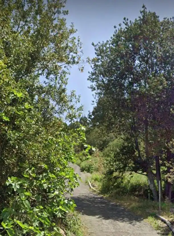 Rural land for sale in La Vega - El Amparo - Cueva del Viento, imagen 5