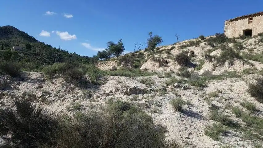 Finca rústica en venta en Ricote