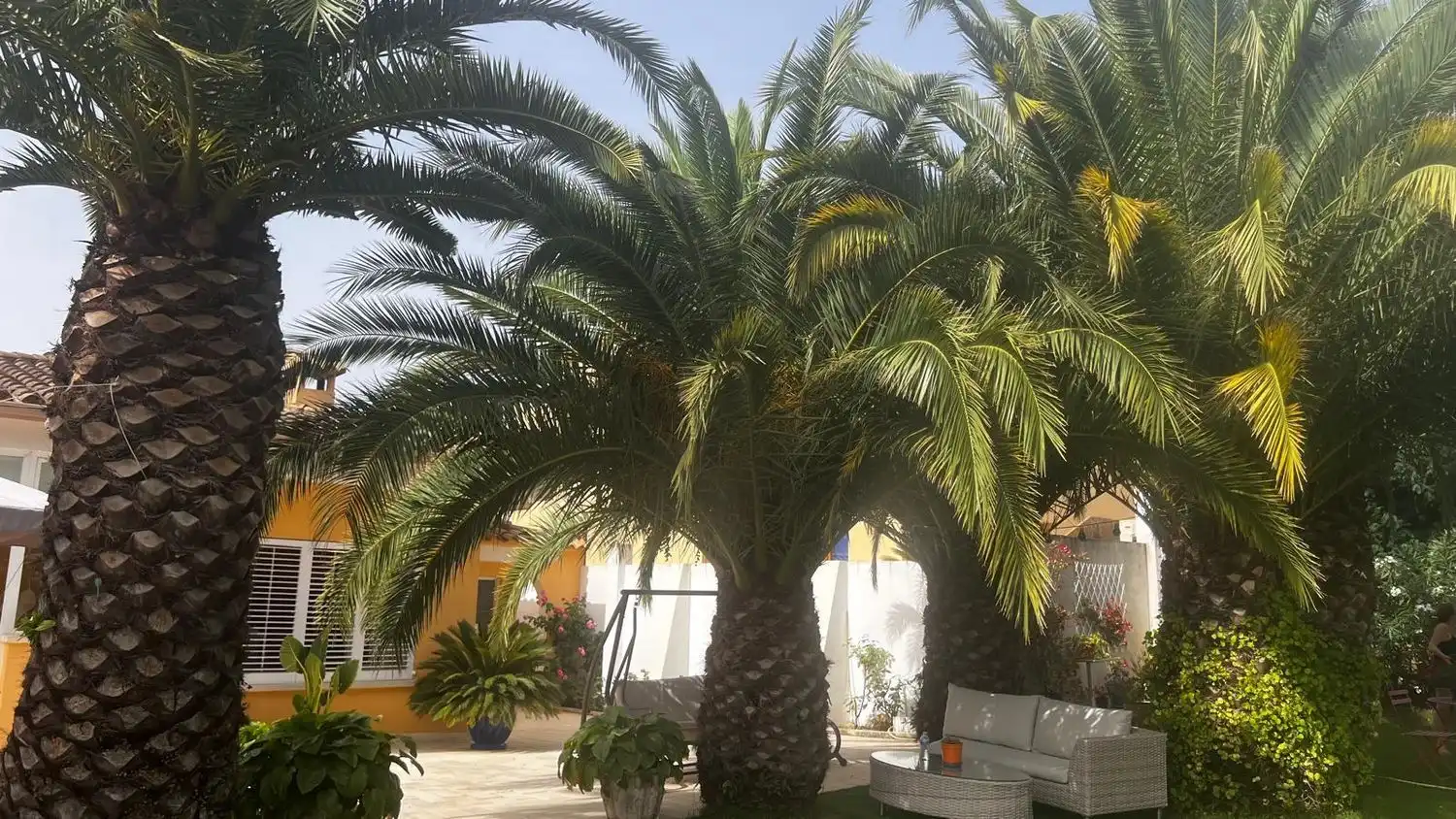 Detached house with garden for sale in Calle dels Joncs, imagen 15