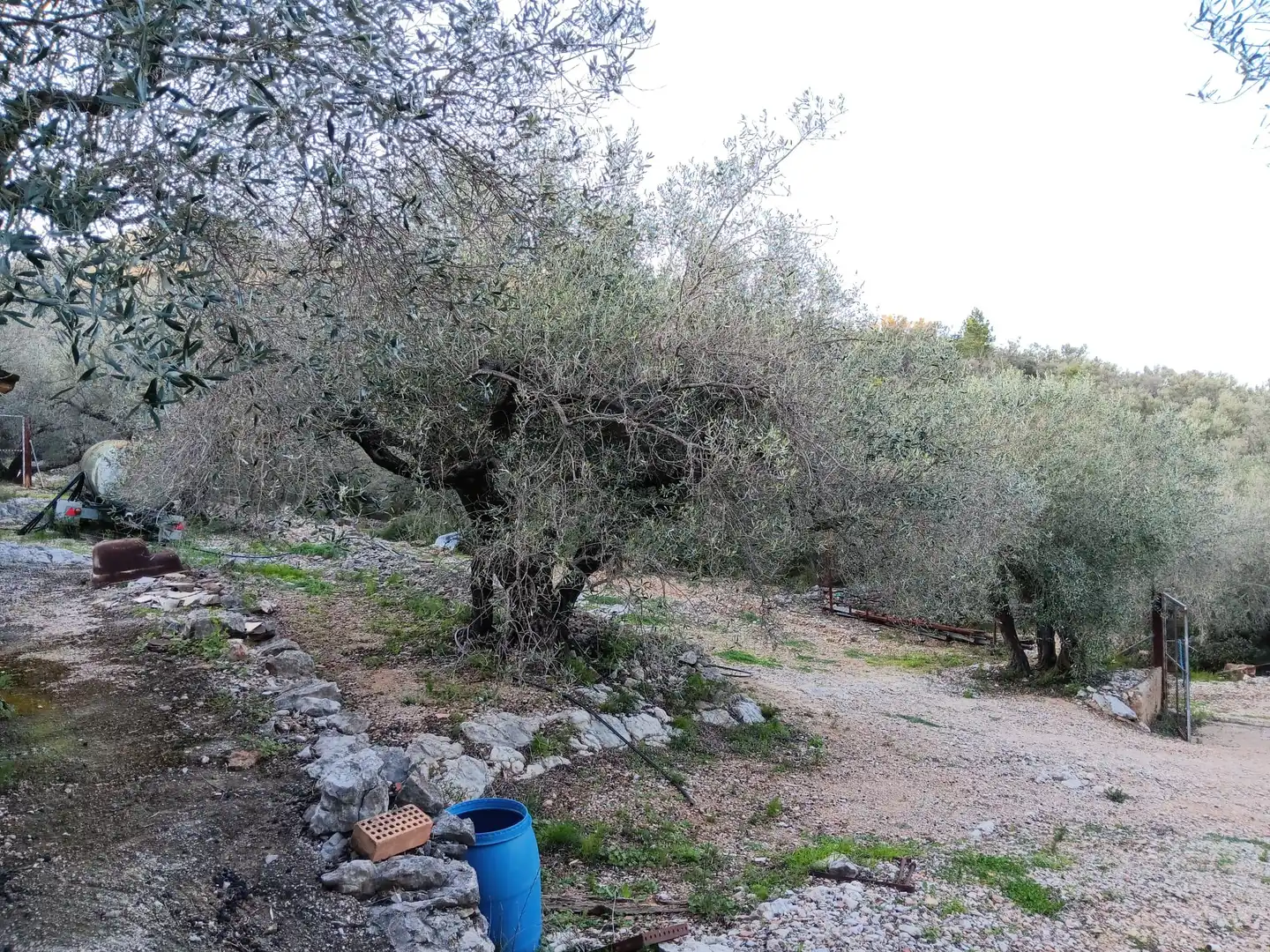 Terrenys i solars en venda a Ferreries, imagen 11