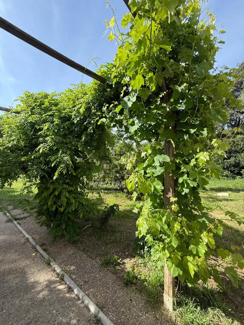 Casa con giardino in vendita a Almodóvar del Río, imagen 21
