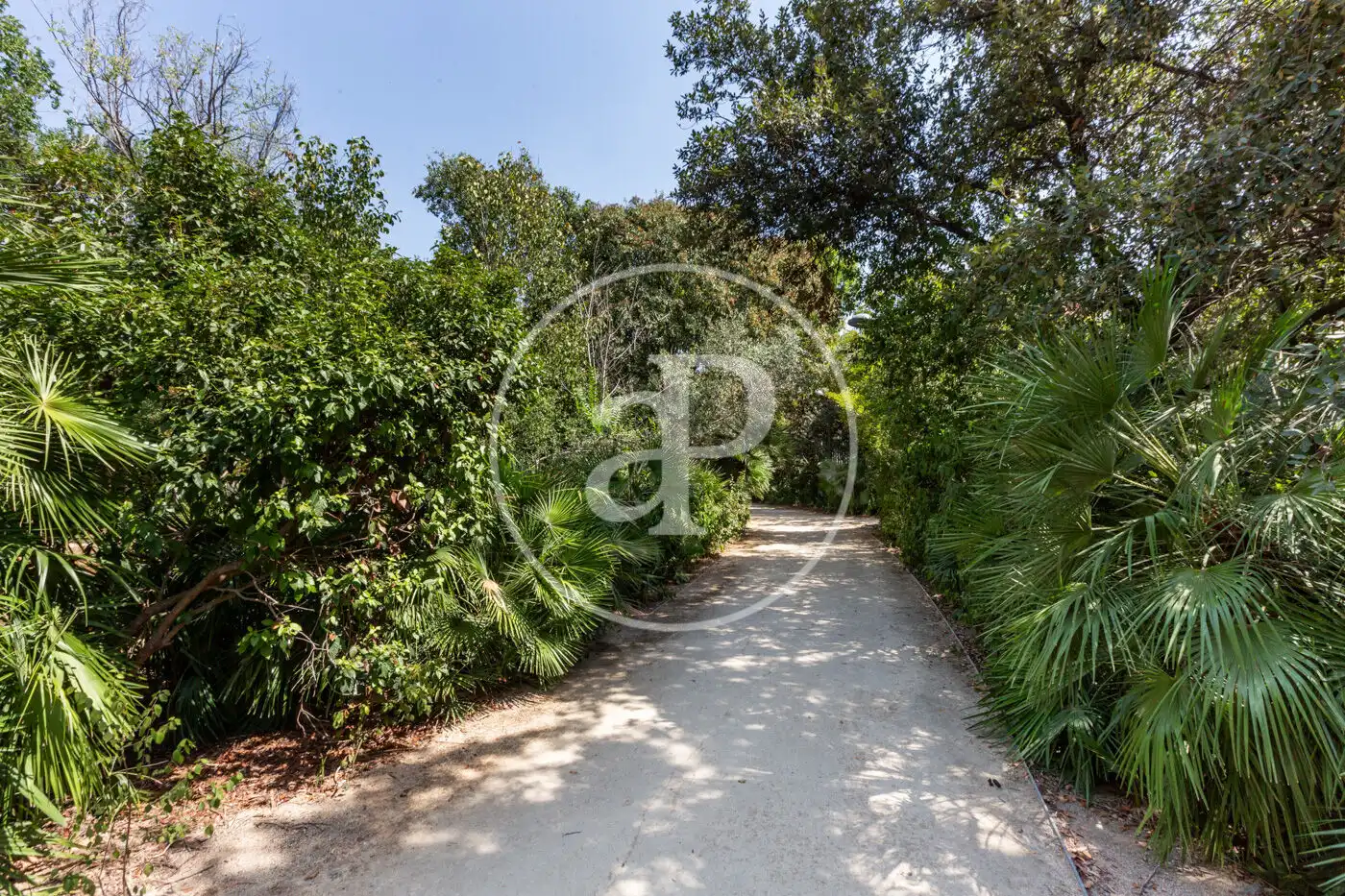Pis amb ascensor en venda a Jesús, imagen 34