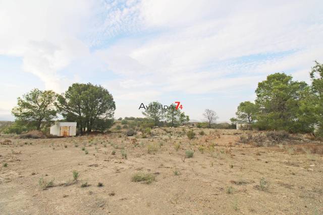 Terreno en Venta en Ortillo