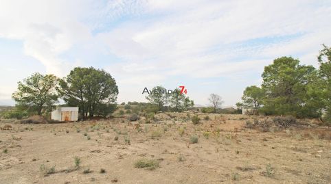 PARCELA DE 20.000m2 CON AGUA Y LUZ EN LORCA  REF 376