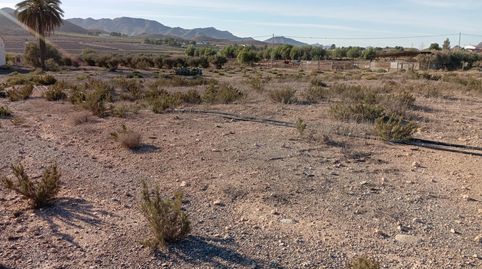 Foto 5 de Finca rústica en venta en Almendricos, Lorca