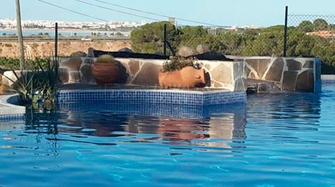Finca en venta en Torrevieja, 8 dormitorios., imatge 3