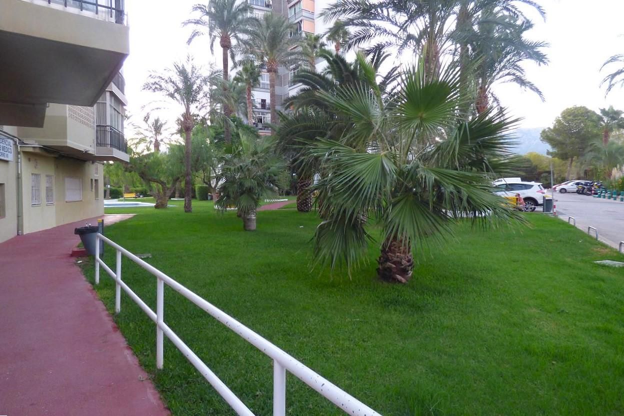 Garden of Flat for sale in Benidorm  with Swimming Pool, Furnished and Community pool