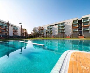 Swimming pool of Attic to rent in El Ejido  with Air Conditioner, Heating and Terrace