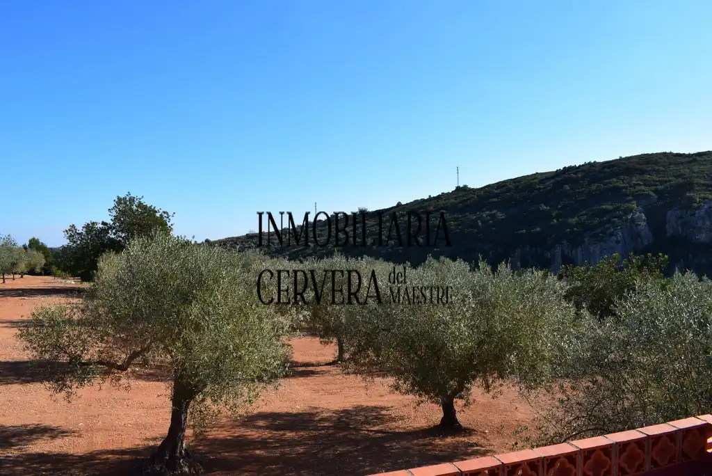 Vista exterior de Finca rústica en venda en Cervera del Maestre amb Terrassa