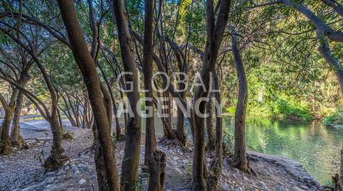 Photo 4 of Country house for sale in La Navata, Galapagar