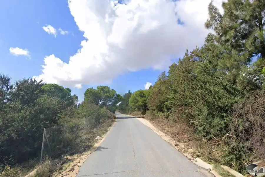Terreni e lotti in vendita a Moguer, imagen 5