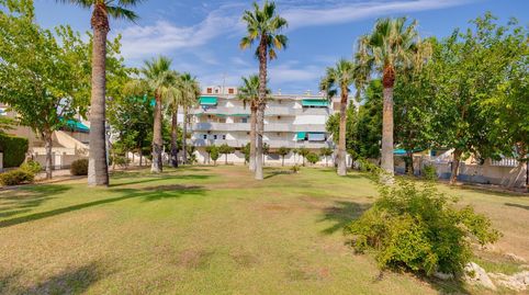 Foto 3 de Piso en venta en Calle Isla Menorca, 5, La Regia, Orihuela