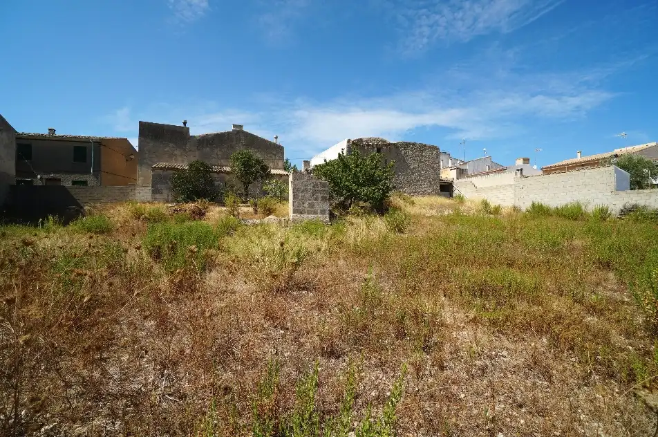 Terrain rustique à vendre à Campanet, imagen 18