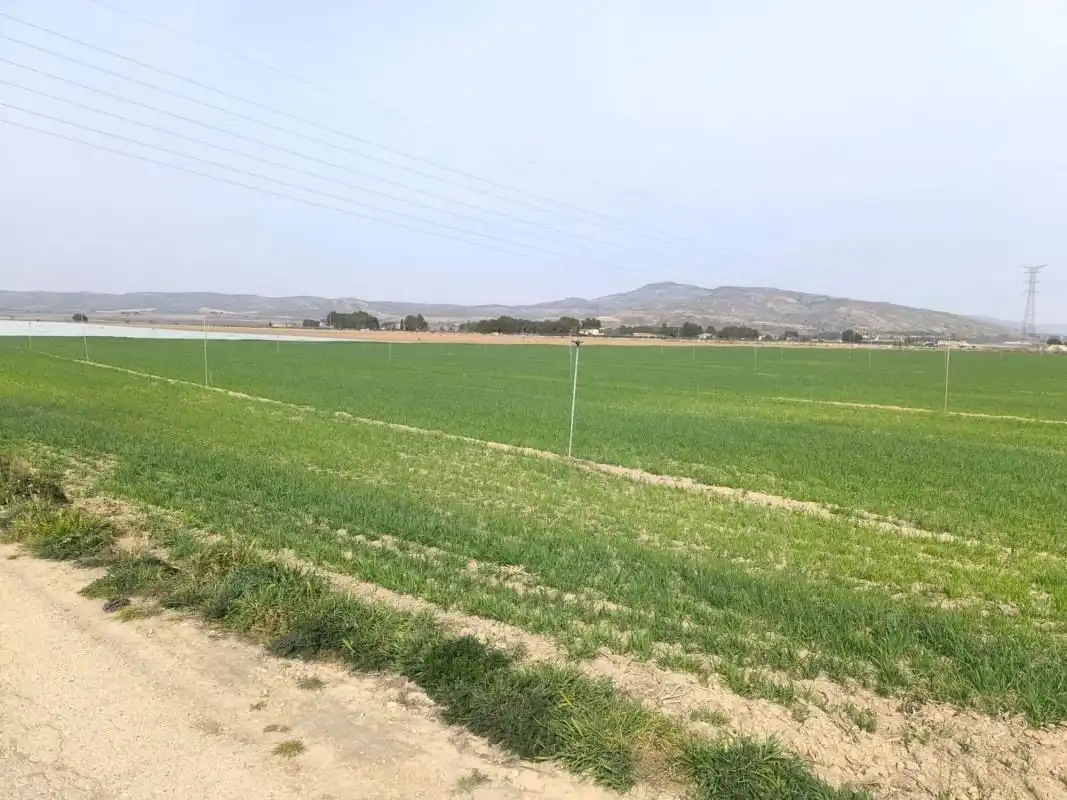 Residential land for sale in El Rabal, imagen 6
