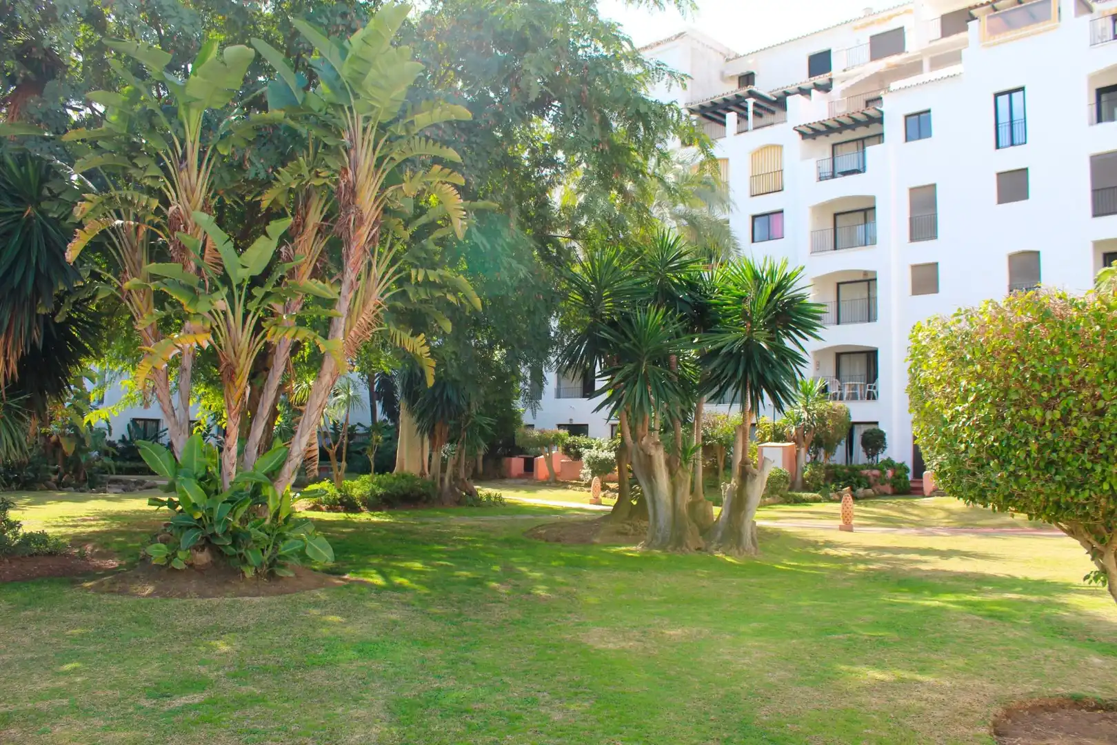Attique avec terrasse à vendre à Nueva Andalucía, imagen 14