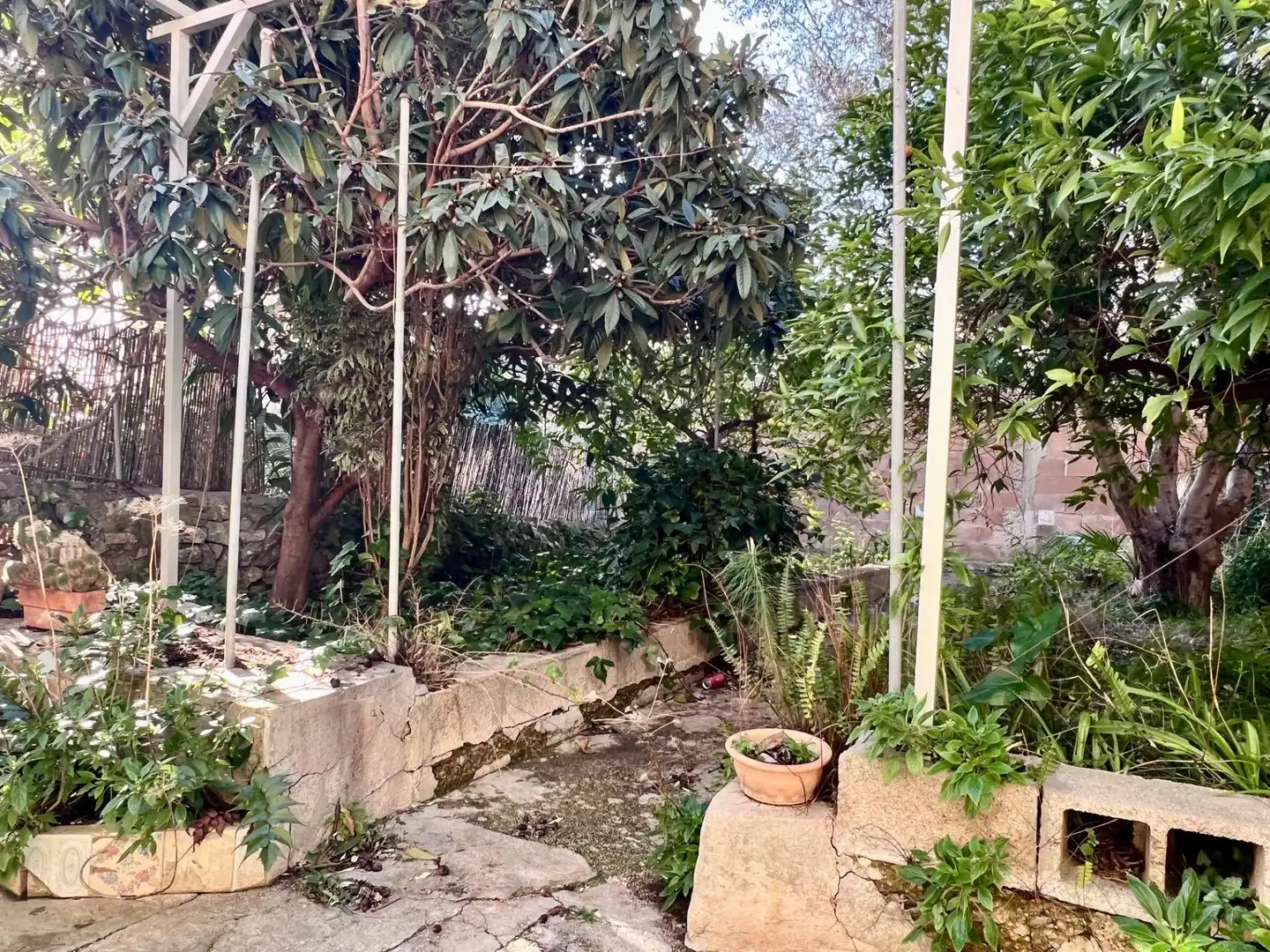 Jardín de Casa o chalet en venta en Selva