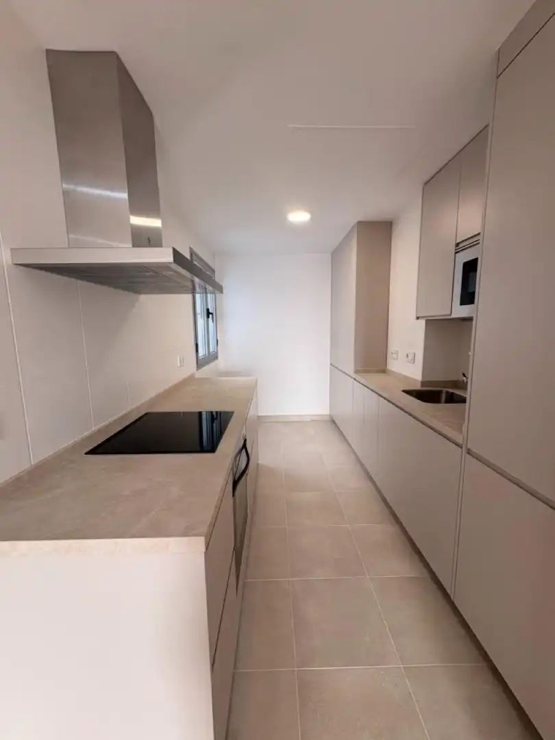 Flat with lift to rent in Avenida Avenida Ronda del Estero, imagen 8